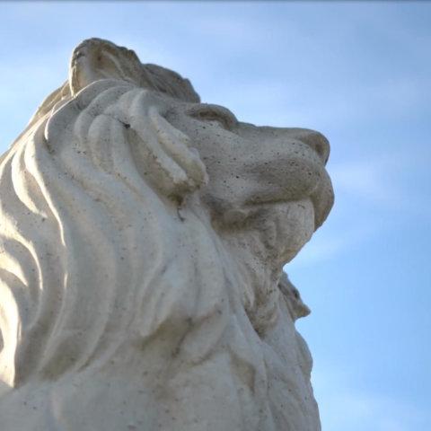 狮子雕像的蚯蚓视角，背景是蓝天